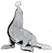 San Francisco Seals (PCL Baseball)